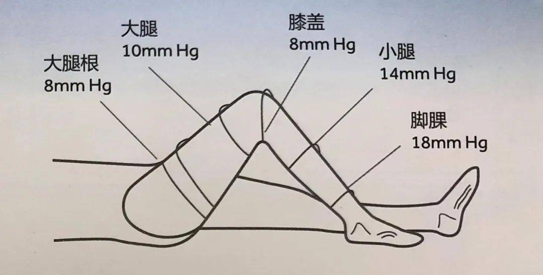 梯度弹力袜图片图片