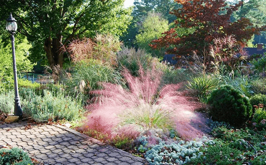 组团种植观赏草组团往往能营造出的自然和谐的园林景观,与一,二年