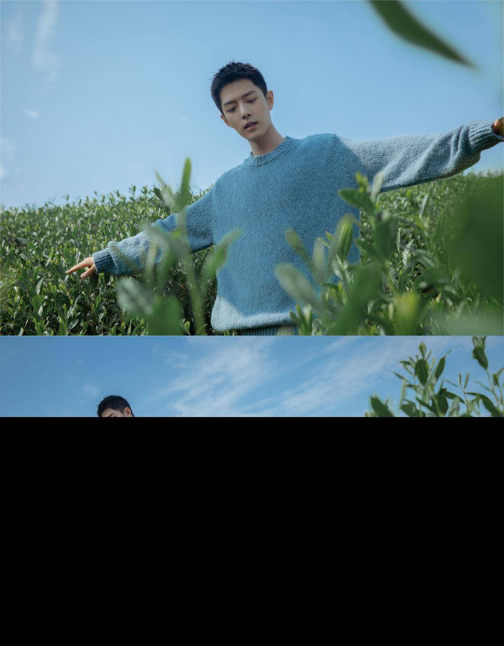 肖战借竹子鼓励自己!