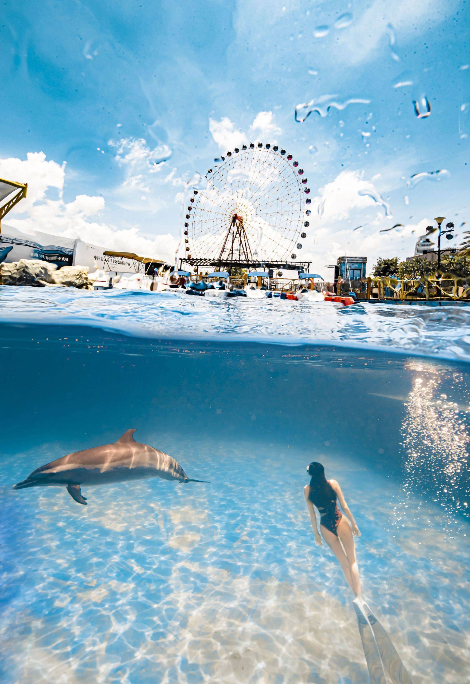 章佳怡晒与海豚一起游泳写真,大长腿摆动,大片一般,十分唯美_潜水