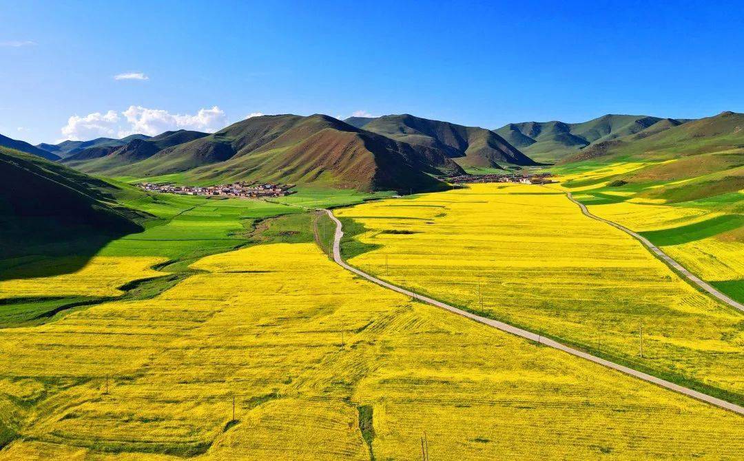 【我们这十年】培育万亩产业新路径 奏出秘境卓尼"五部曲"_卓尼县