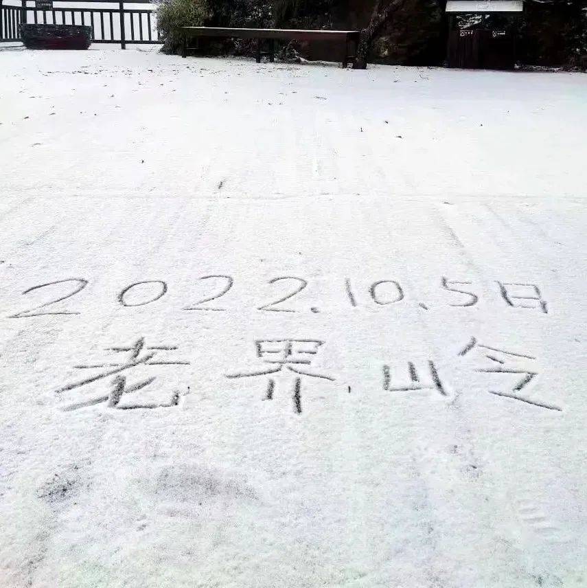 冷҈冷҈冷҈~南阳第一场雪来了！升温在何时？ 河南 小到中雨 县市