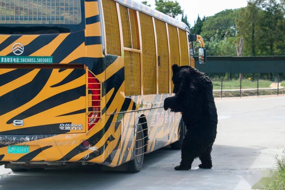 动物园_游客_园区