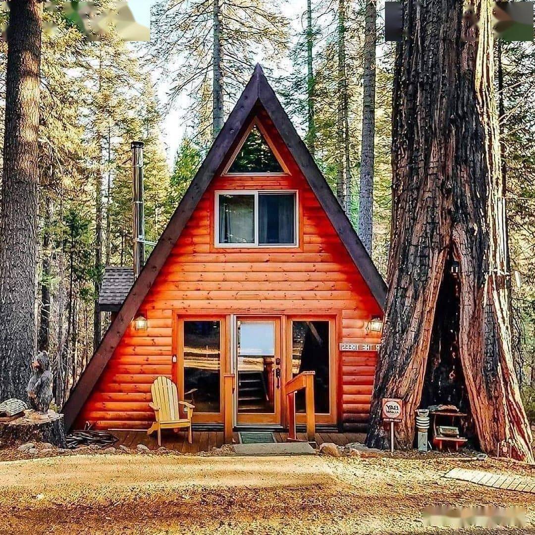 2022年的只有科技没有狠活的各种各样的风格木屋_原木_屋顶_房屋