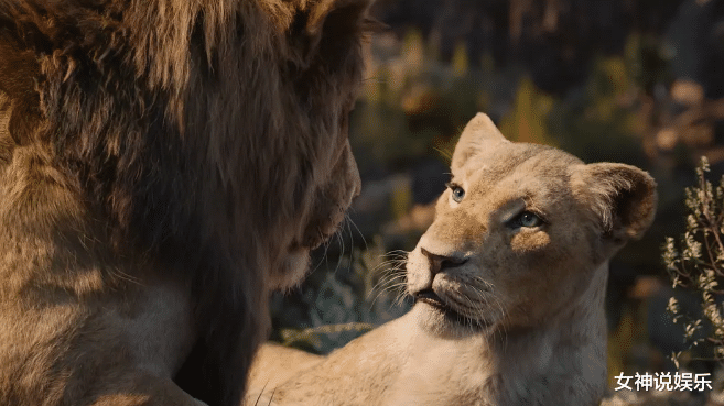 新版狮子王:精彩的特效制作电影,场景角色真实,非常好看!