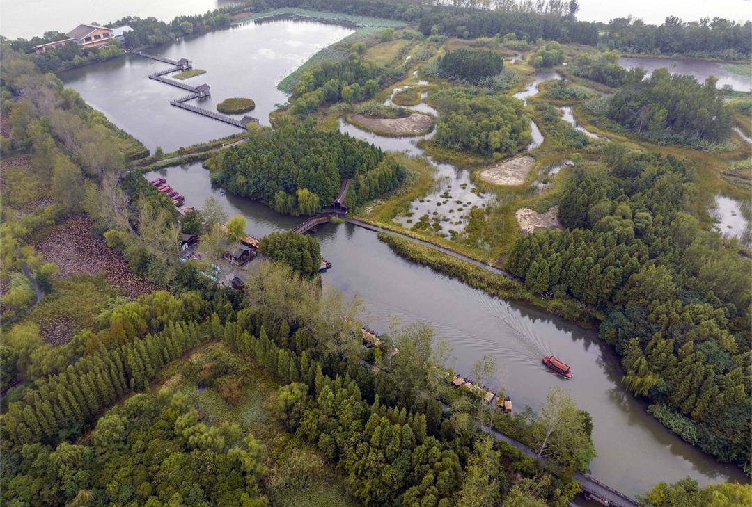 組圖|江蘇泰州:溱湖溼地秋景如畫_遊客_公園_國家