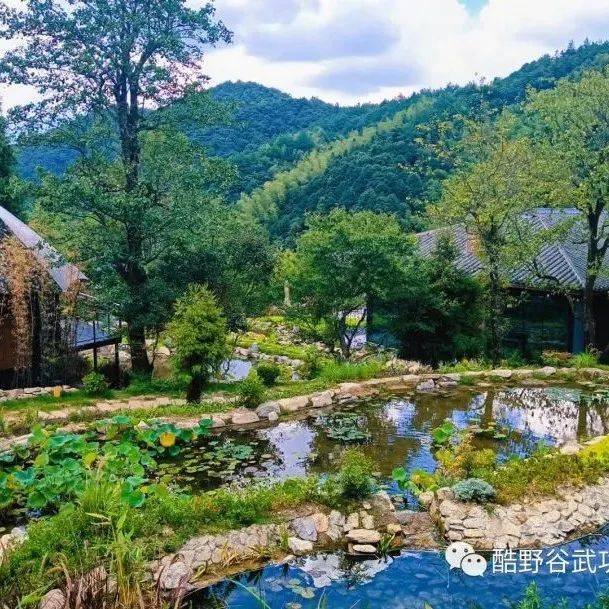 独恋,这一片回归自然的营地_酷野_越野_路虎