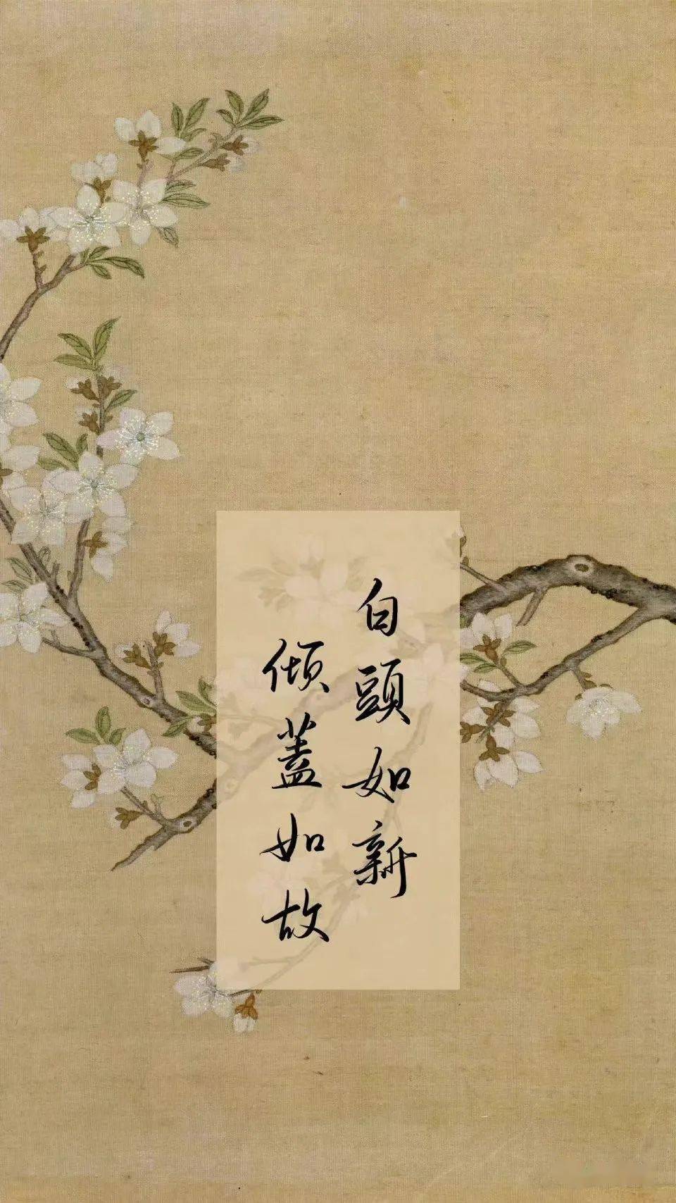 手写的古风文字壁纸,太绝了吧!_内容_楼兰_微信