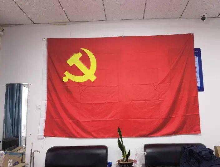 在办公场所悬挂党旗,支部党员全部佩戴党徽上岗,走访入户听取商户的