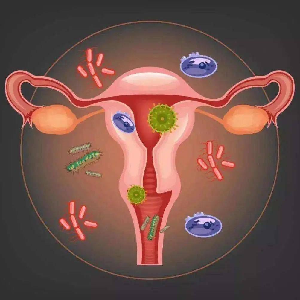 (女生必看)_阴道_外阴_郑州