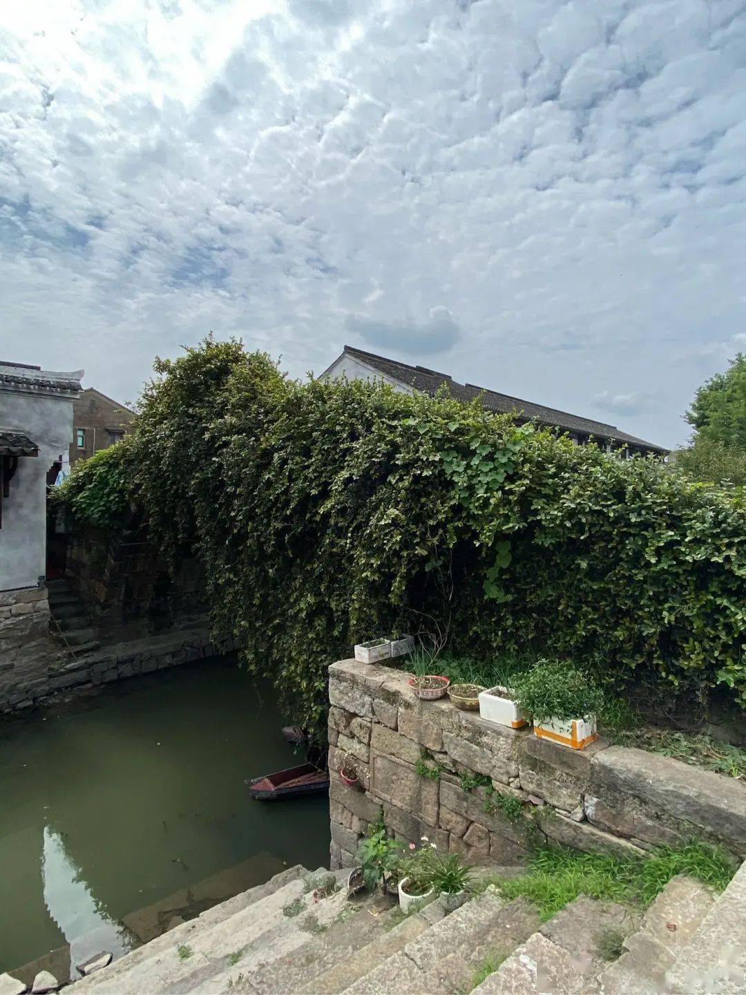 【图说·绍兴】丰惠古镇_摄影_远方_广告