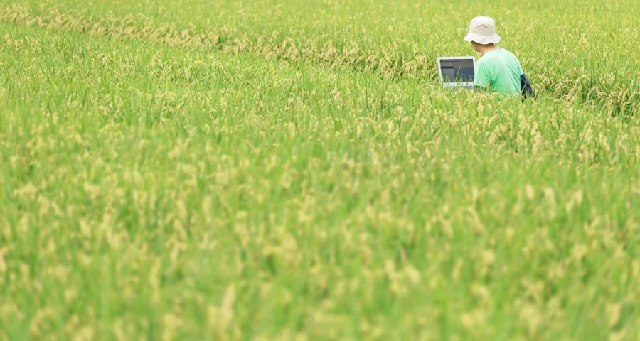 家电黄金周不火,海信拼营销美的抓质量,TCL康佳投产创维撤单-家电圈官网