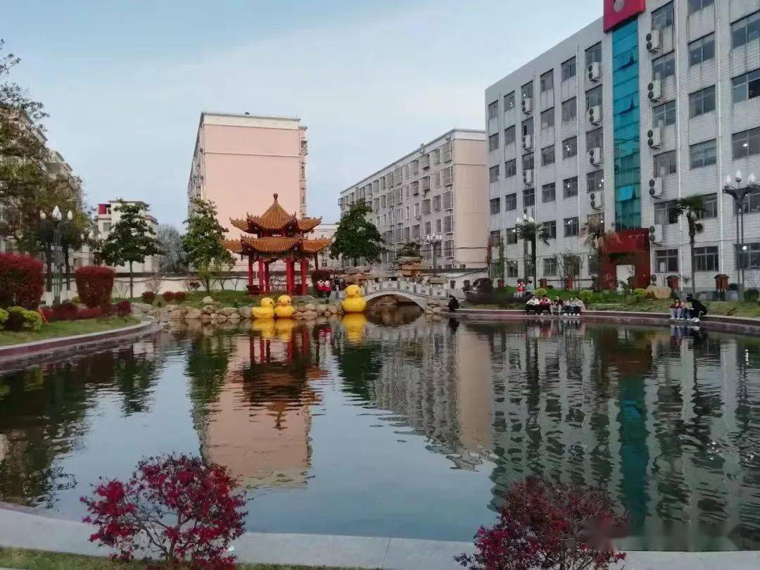 【基础教育树信阳品牌 名校长有话说】——67商城高中党总支书记