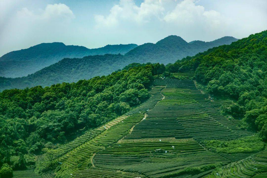 茶谷位于四川大竹县铜锣山中段团坝镇,因云峰寨而得名.