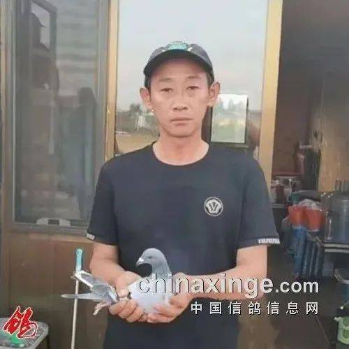 上海大同李伟林 首闯神齐成黑马 四关综合鸽称王_三关_单关_山西