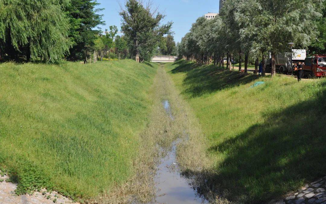 孙河组团中心湖综合治理完成啦~_生态_朝阳区_调水