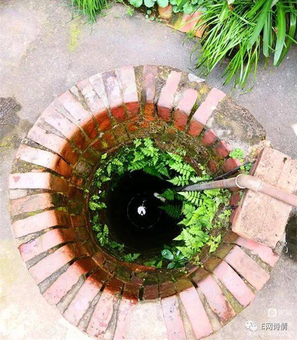 6767【萱草】水井_井水_井底_井口