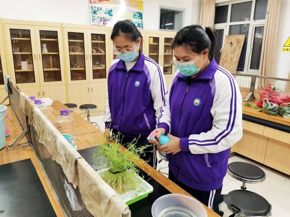 【社团展播】杨村一中创意diy,让生活更精彩_实践_过程_能力