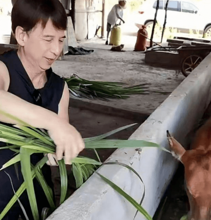 曹荣妻子图片