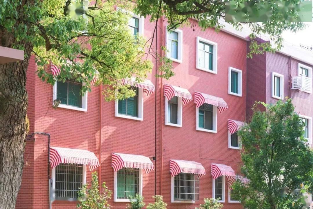 另一旁的参天大树郁郁苍苍,竟有着两百多年的树龄!