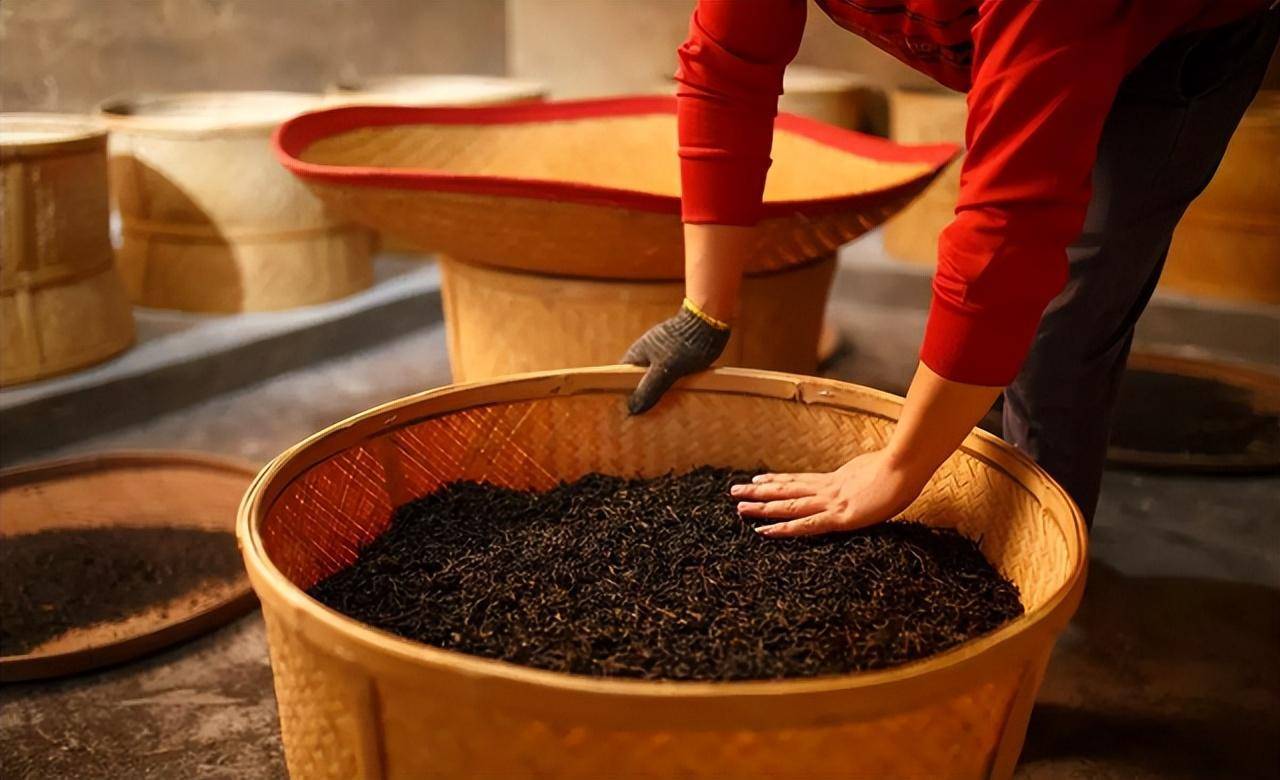 东家app:武夷岩茶的"焙火"到底神奇在哪里?_杨彬_茶叶_茶人