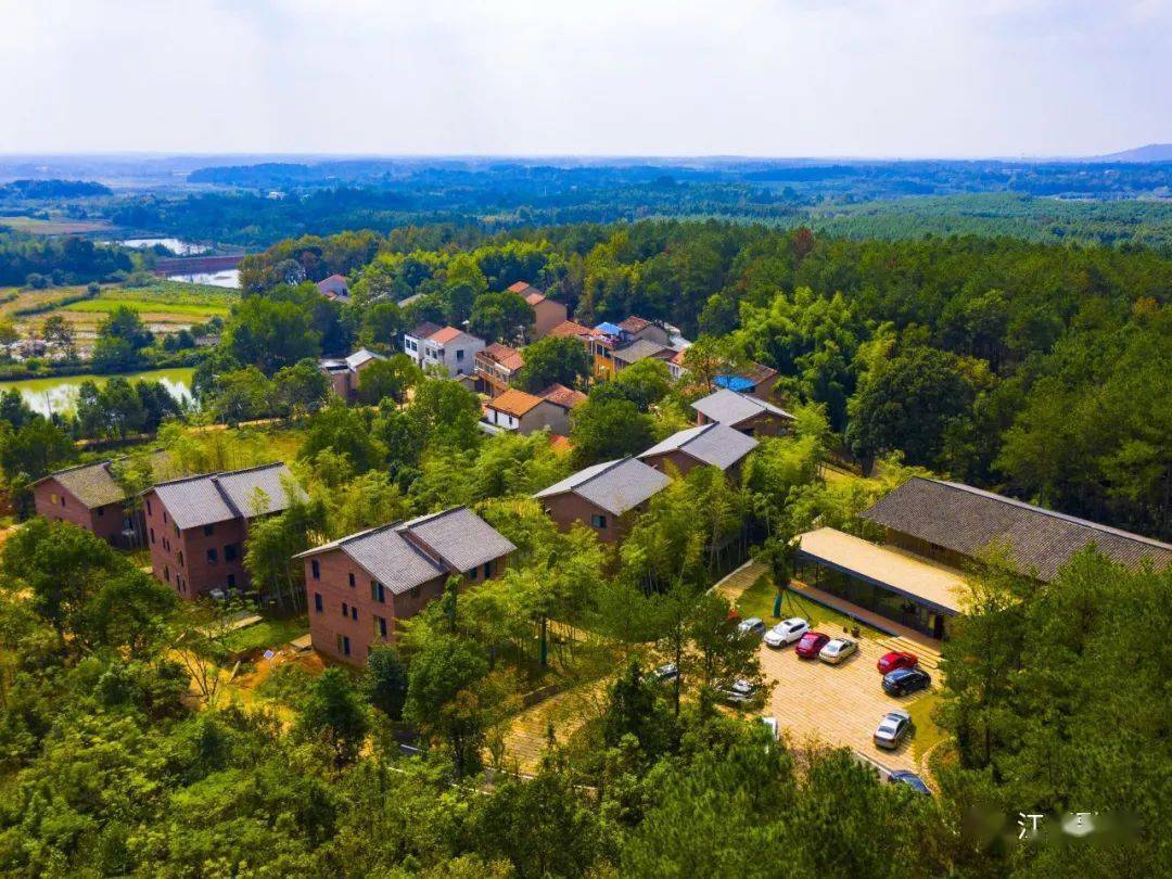 谱写江夏乡村振兴新画卷_发展_建设_农田