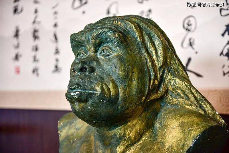 魅力陕西行|走进西安市蓝田县蓝田猿人遗址博物馆_化石_人类_纪念碑