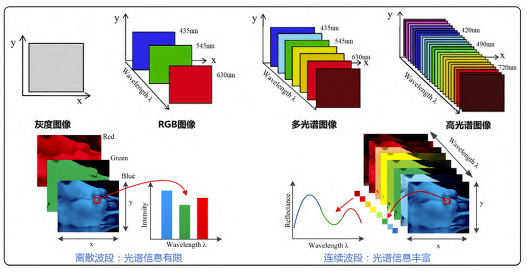 【技术分享】高光谱成像方法与3D可视化_方式_图像_分析