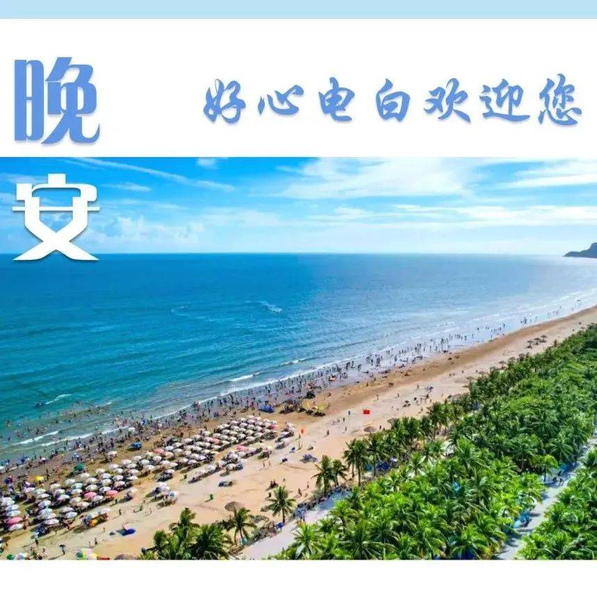大美电白·每日一图|纷至沓来_何伟_杨伟盛_茂名