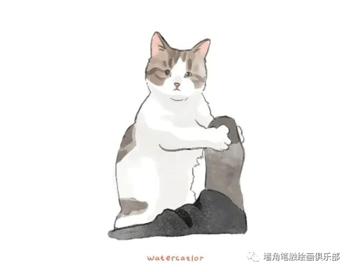 参考之资·艺‖ 猫奴画师将网红“沙雕”猫酿成插画后，胜利吸粉20万！