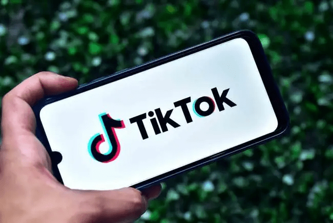 TikTok东南亚入驻全集合！电商浏览器免费送行业分析报告？