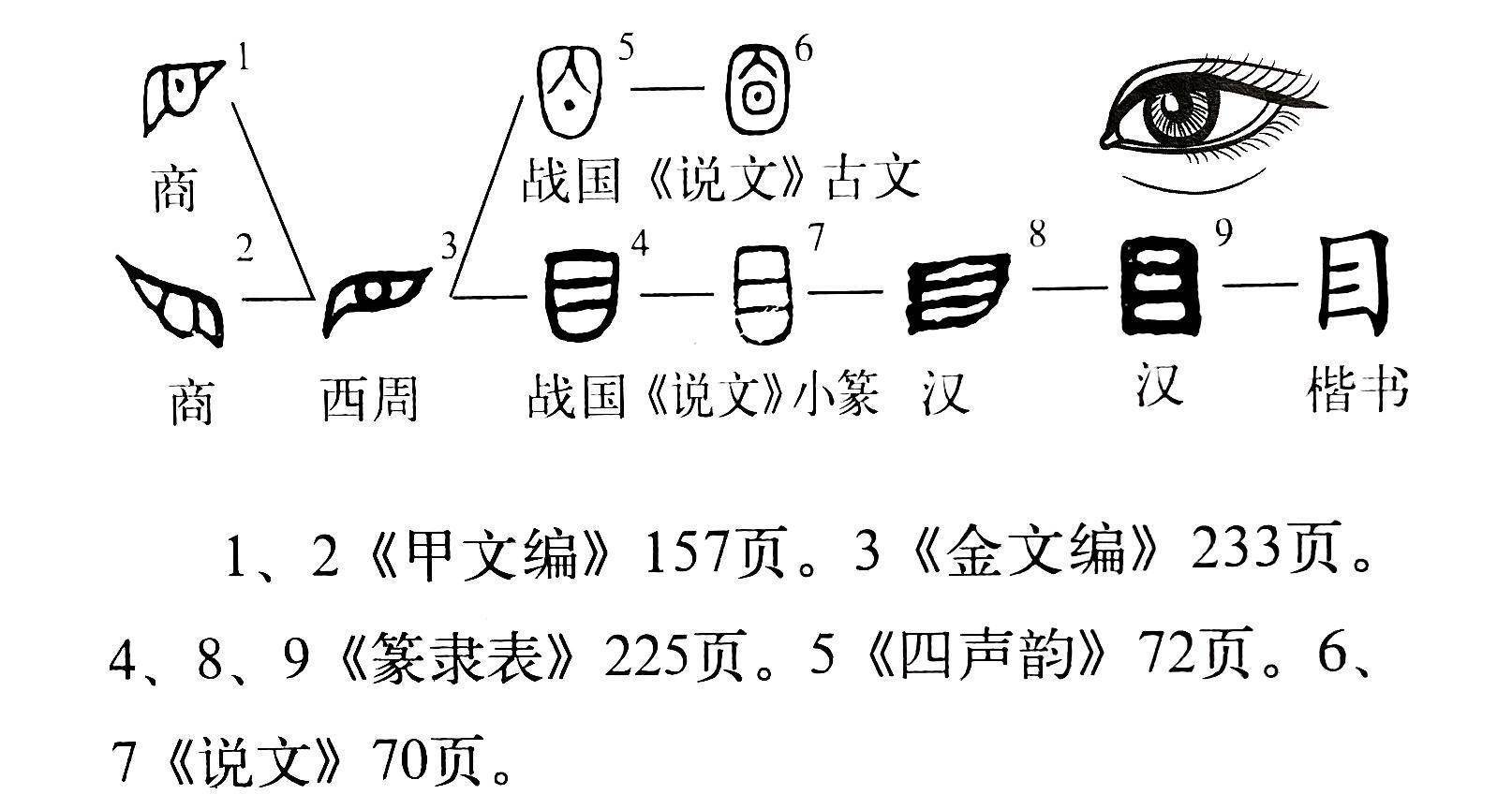 说文解字》第633课：“欲穷千里目”里的“目”是什么意思？_搜狐网