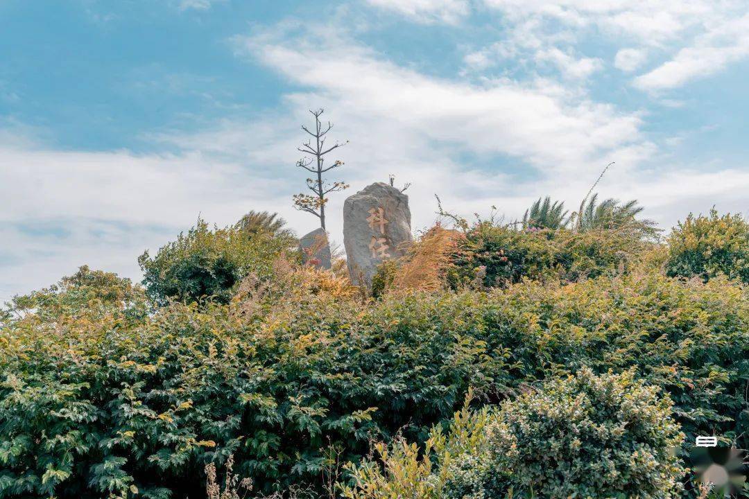 海景与传说的沧桑,这个渔村值得你来_科任村_深沪镇_chapter