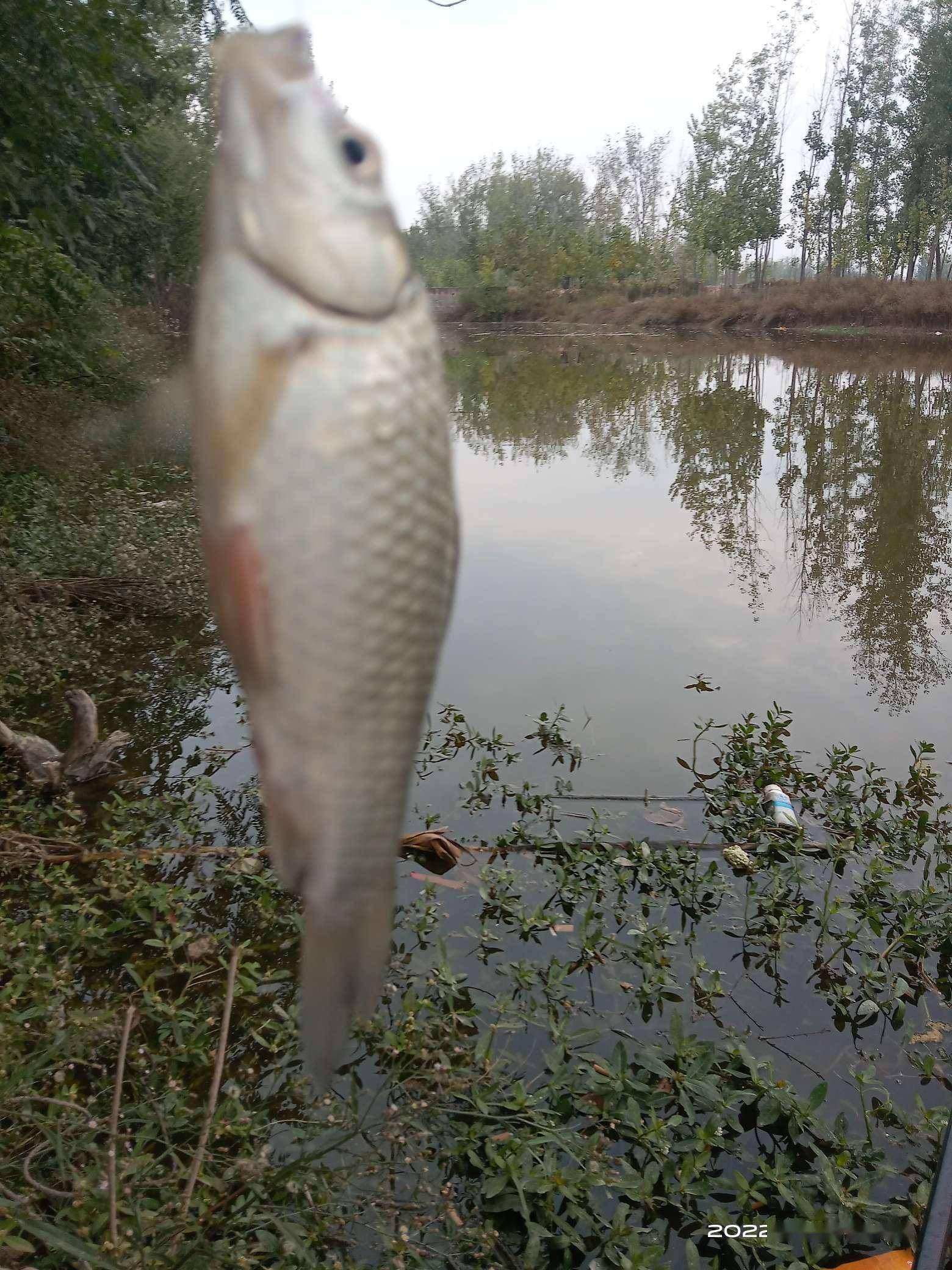 那就是致命的诱惑！野钓想空军都难