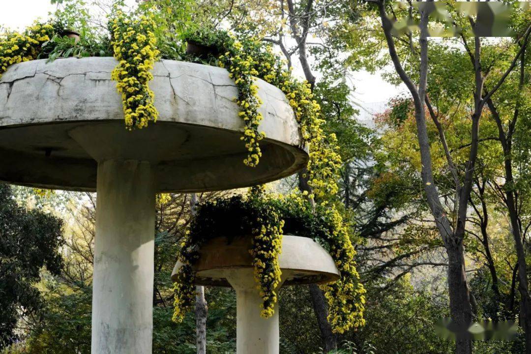 《醉夕阳》 张宏伟【领导动态】区委书记李海潮带队调研全区安全稳