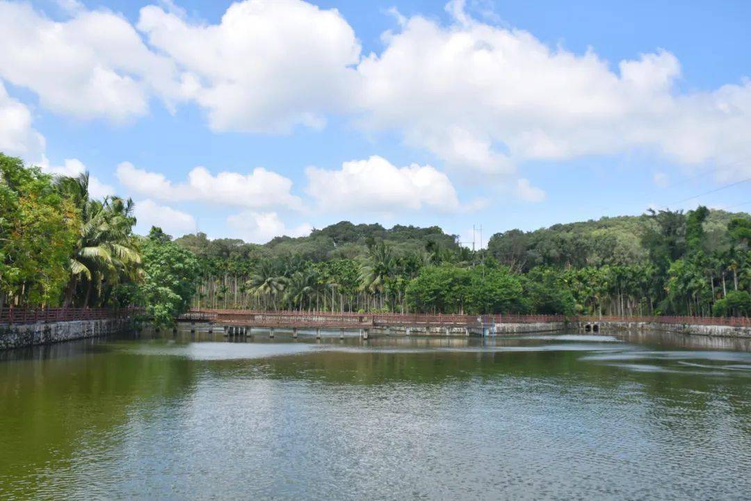 幸福大聯唱 獻禮二十大|萬寧市龍滾鎮福塘村:村強民富景美人和 文明鄉