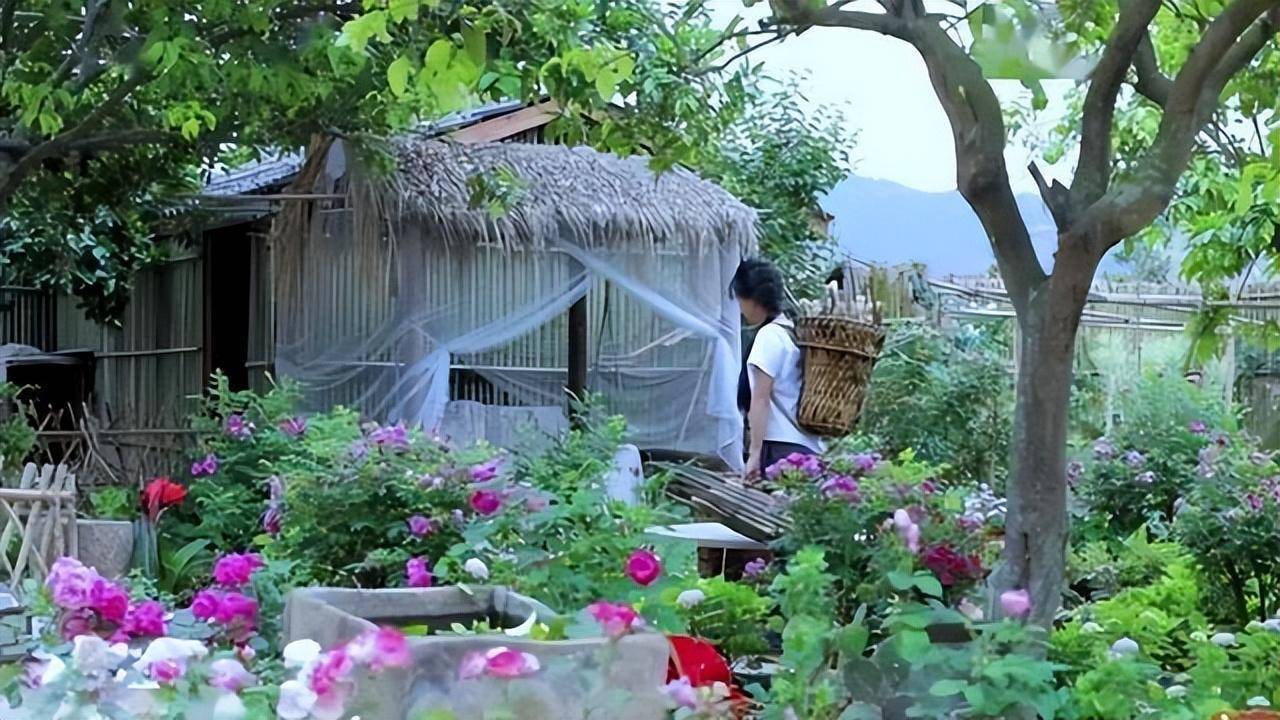 没有美颜滤镜,李子柒的庭院还是"人间仙境"吗?