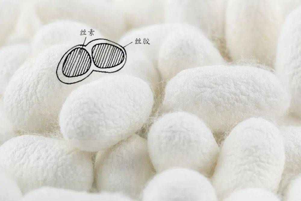 蚕丝是如何制作的,从吐丝结茧到抽丝全过程!_缫丝_丝绸_文明