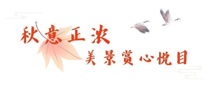 上海身心健康寶多肽日數排序準則變了：當日6點前出結論多肽日數表明為1天