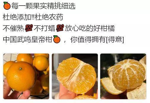 皇帝柑文案:水果皇帝柑的文案_运营_圈子_工作