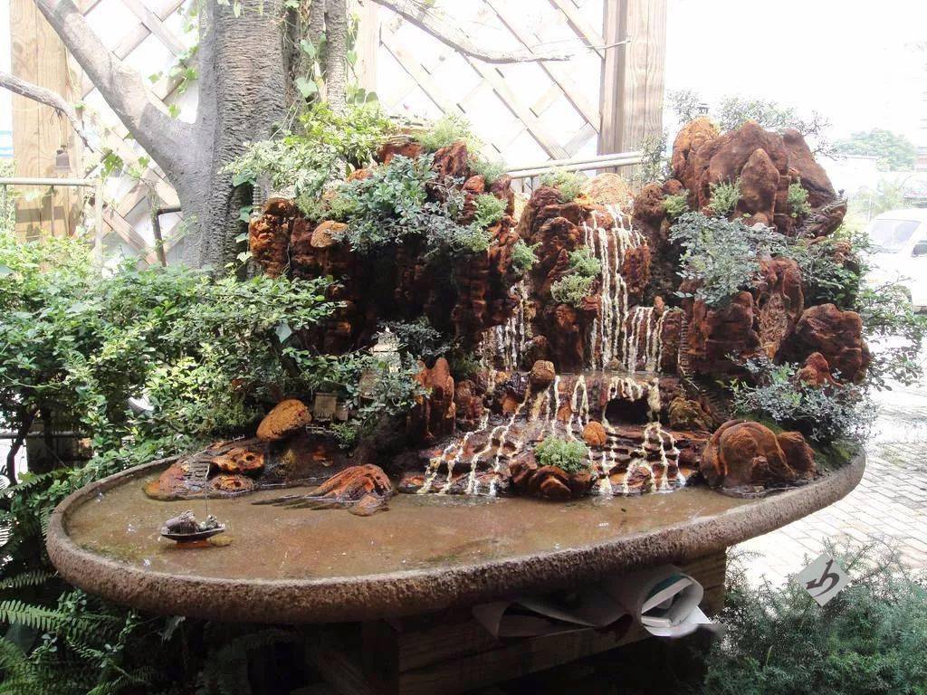 六款水旱式树石盆景,哪款是你喜欢的,台长就为你献上哪款秘笈!
