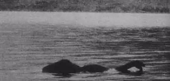 河南铜山湖水怪再次现身？100多米长水下魔影，难道真的是蛟？