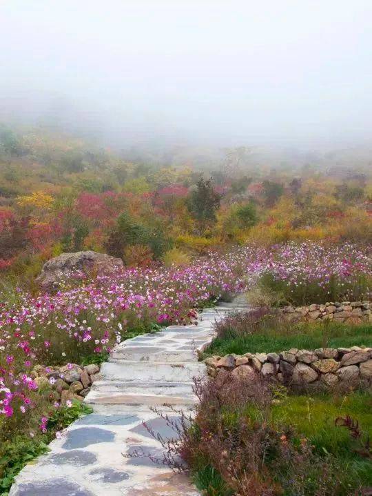 蒲洼花台位于蒲洼乡东村,属于房山世界地质公园蒲洼园区范围,拥有"