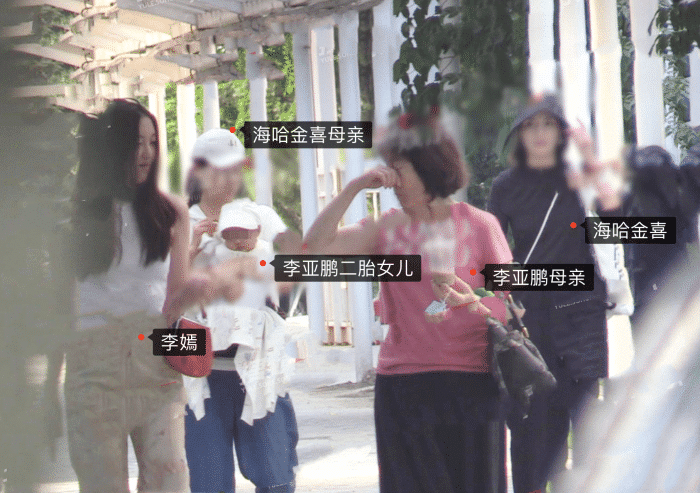 李亞鵬嬌妻出門遛娃,半歲女兒五官秀氣 11 5a5b6bb4bde84a828aed2ea4a5134762