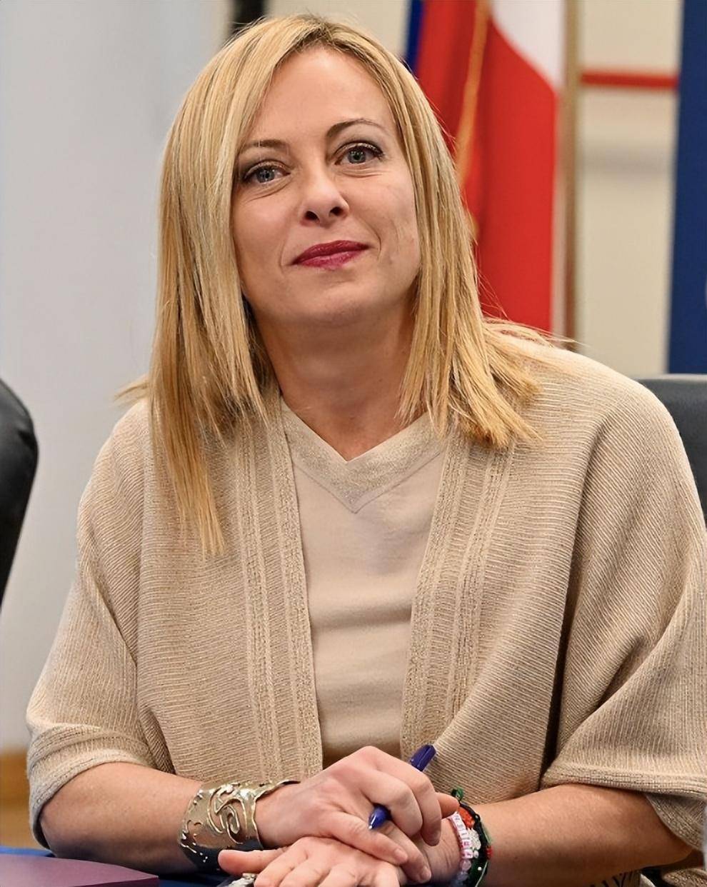 此前,有公开资料显示,梅洛尼从罗马亚美利哥·韦斯普奇学院毕业,获得