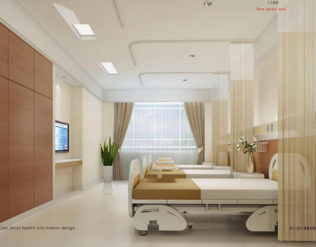 运用虚拟医院技术打造信息化医疗平台的创新实践——以树兰(安吉)医院