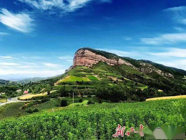 渭源县麻家集镇:产业兴农民富乡村美_发展_革命_文化