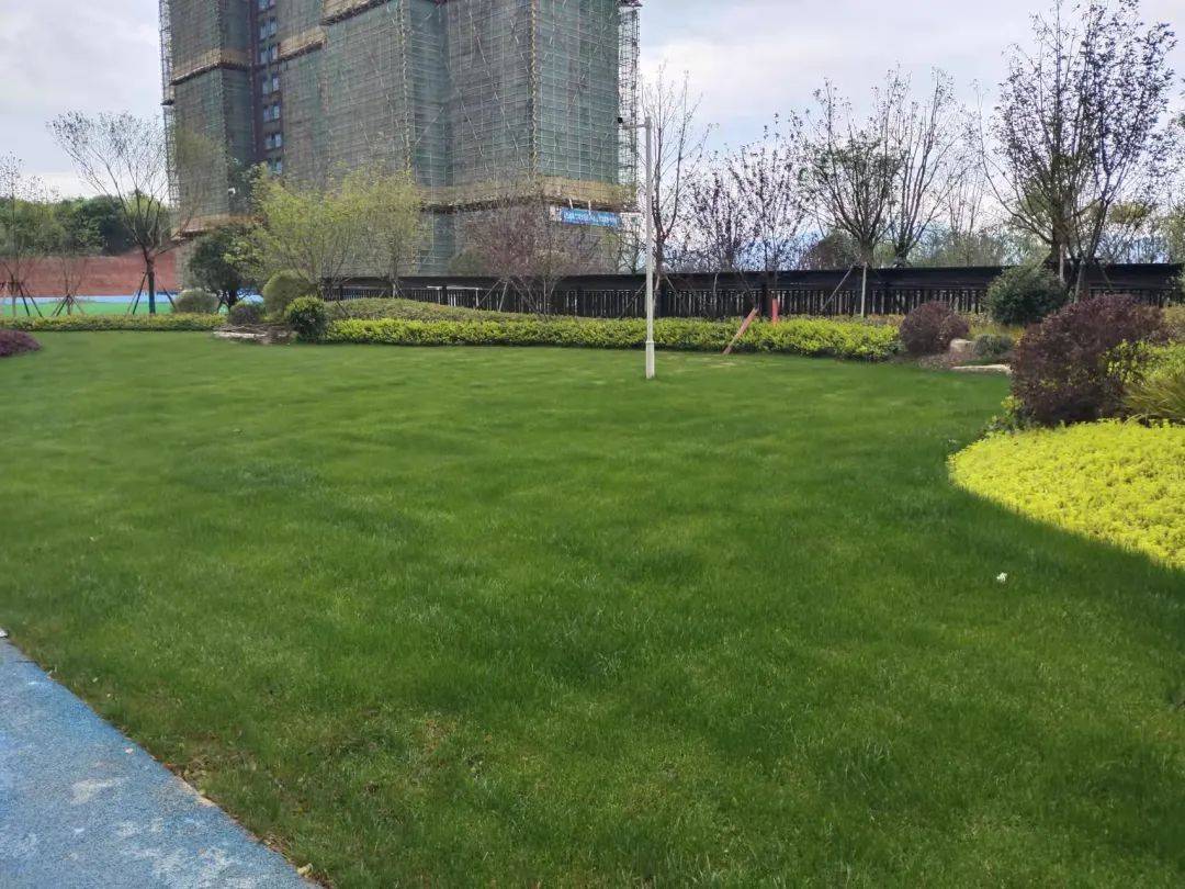 尚湖湾尚书院风景园林 | 这才是小区园林该有的样子!