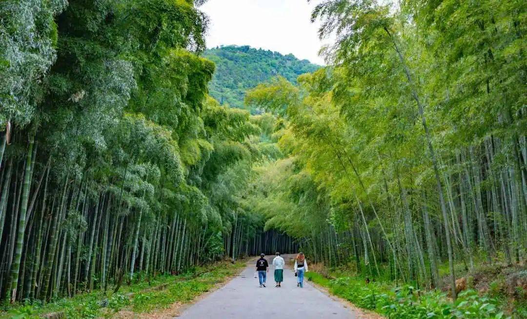 苏州旺山温泉图片