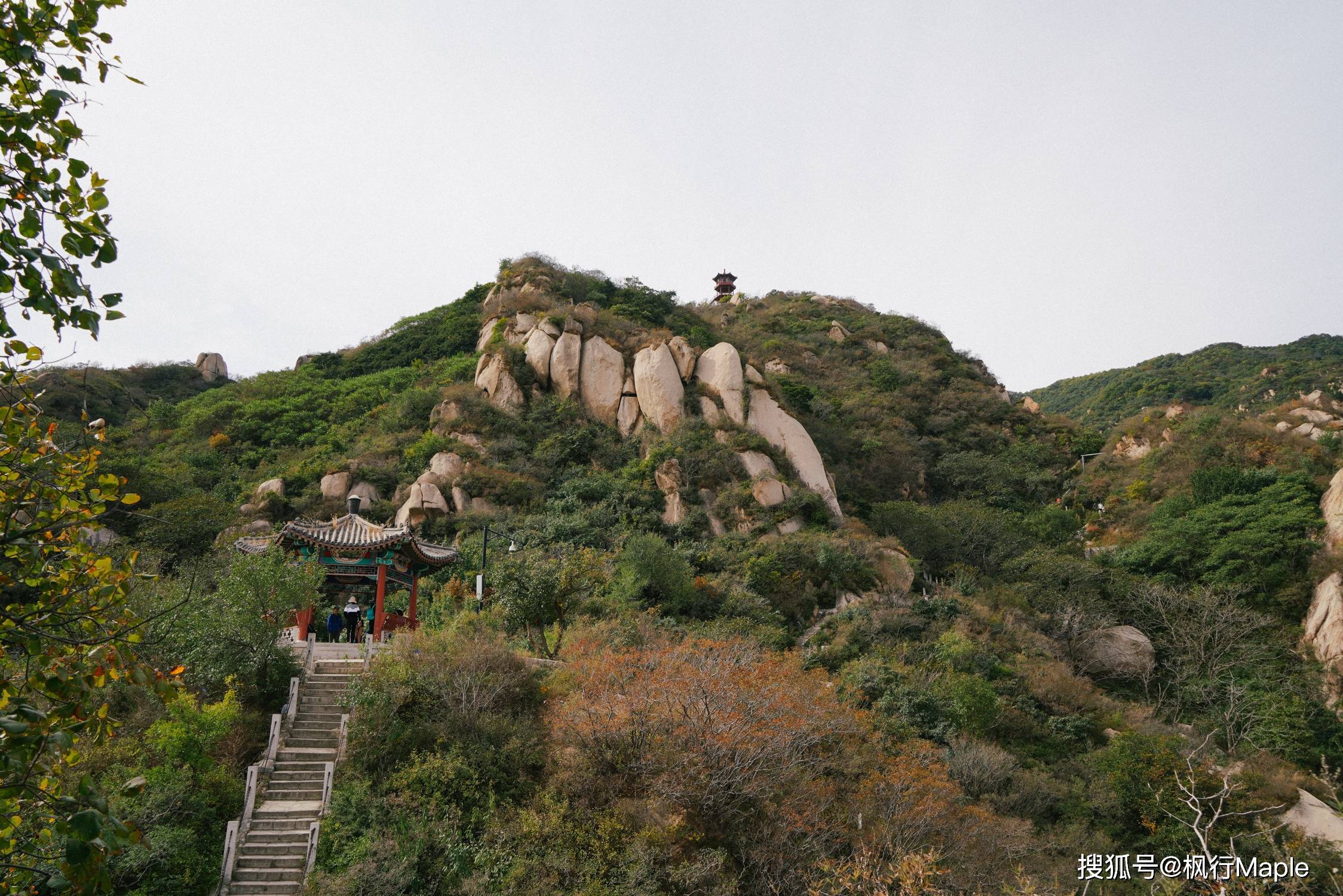 登高,采摘,撸猫,高质量农家菜,秋日爬山好去处,坐标北京海淀_凤凰岭